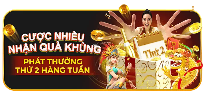 Hoàn trả hàng tuần không giới hạn tại dr88